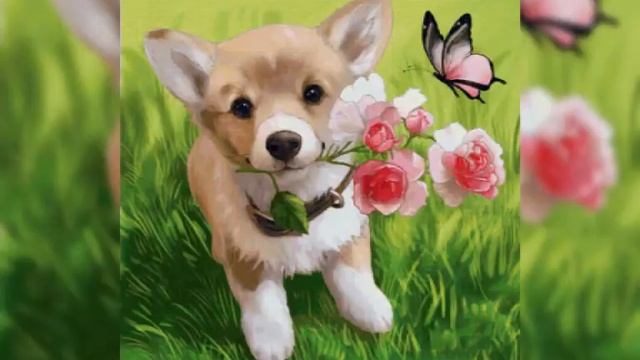 Рита, с Днём рождения!🌹