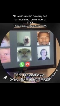 ТГК: FreyzyFoxy #freyzyfoxy #фрейзифокси