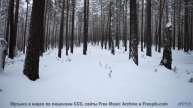 Мелодия, которая лечит душу! - Fly Down the Mountain, Sink into the Sky -- Ayla Nereo -- Play Me a T