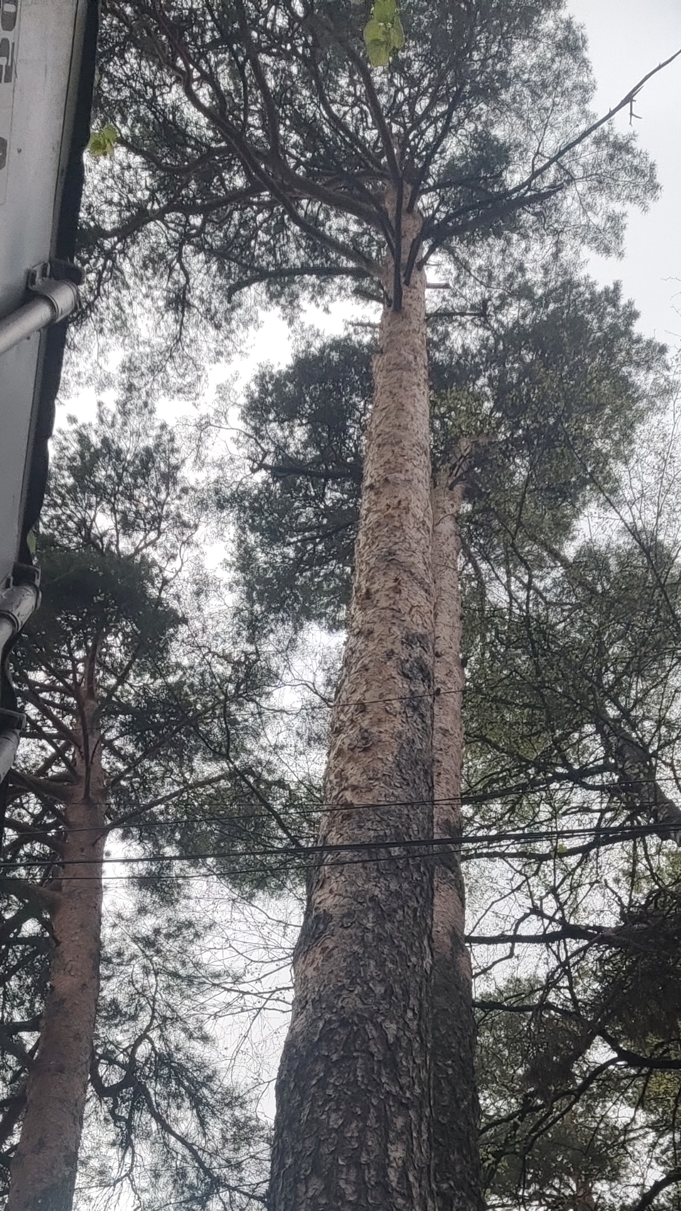 уроки ВЫЖИВАНИЕ часть 1