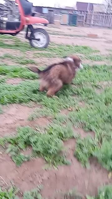 1000080636.mp4