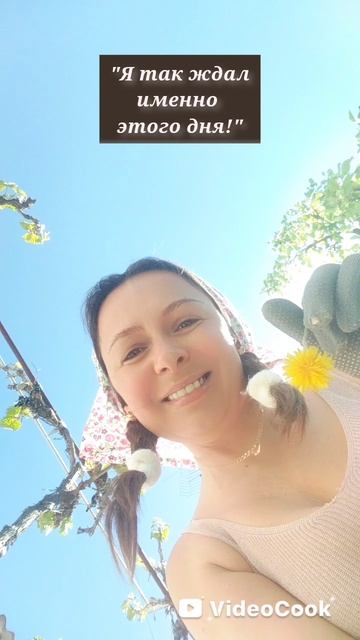🌼🌼🌼