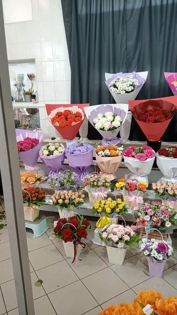 розы разворачивают как пионы