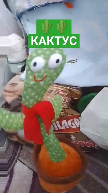 кактус 🌵🌵🏜️