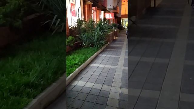 Краснодарский край прогулка