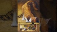Почему собака рычит на кошку,а кошка губит мышей. (малышам). Чешская сказка, народов Европы.