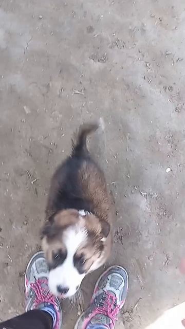 1000080418.mp4