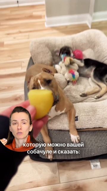 Простой способ сохранить нервы и здоровье