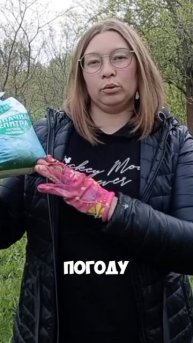 Что делать если чеснок пожелтел и не растёт?