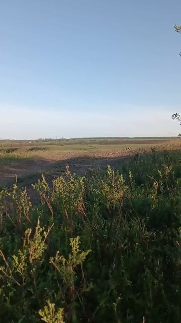 прыжок на квадроцикле мотолэнд ралли 250