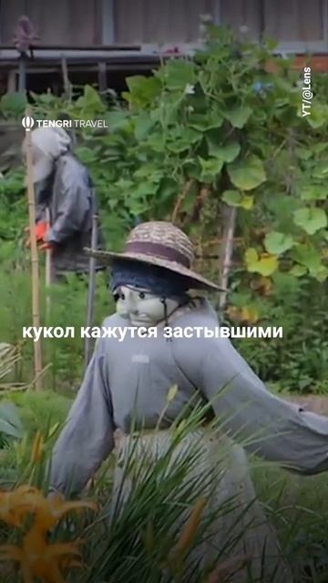 В Японии существует жуткая деревня, "от которой кровь ?