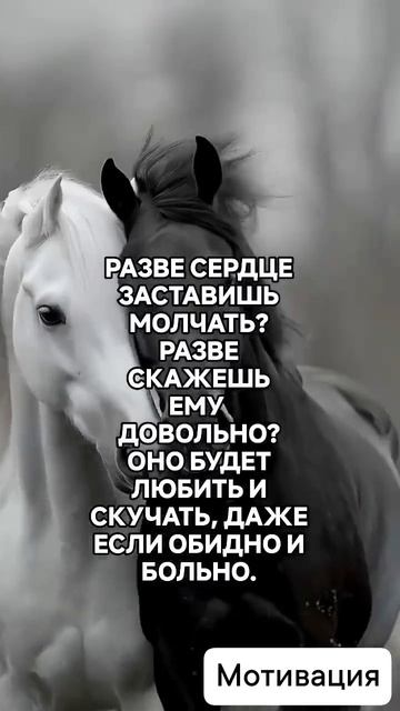 Преодолей свои страхи 💪🛡️