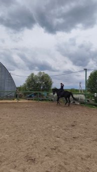 Оксана Новикова и Дольче Вита, самостоятельная работа, галоп на плацу.