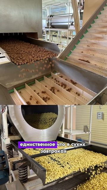 Сухой КОРМ ДЛЯ ЛЮДЕЙ тоже есть. #домашниеживотные #дом?