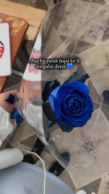 Синий — самый красивый цвет. 💙