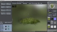 04_Examples_GroundVegetation