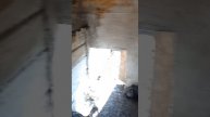 Делай это минимум 2р/год и животные будут благодарны