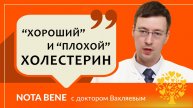 Холестерин «хороший» и «плохой»: какова норма и почему важно контролировать показатели?