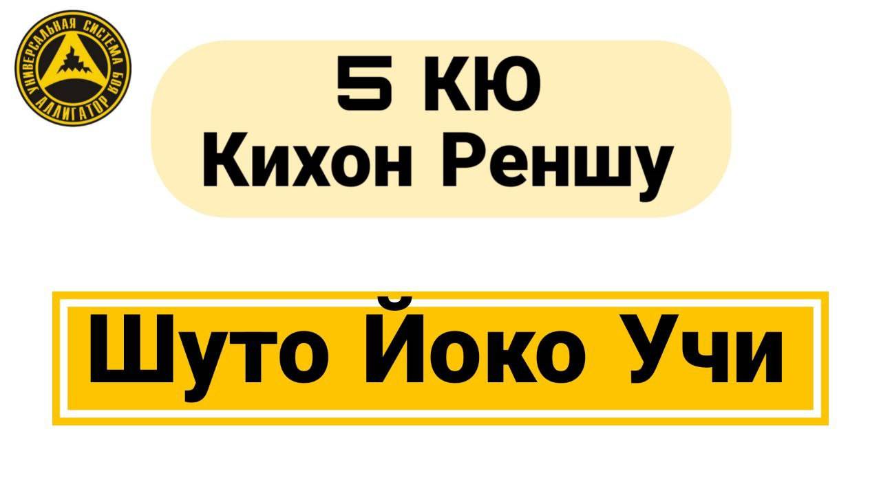 5 Кю Кихон Реншу: Шуто Йоко Учи