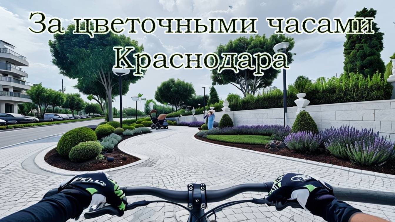 Краснодар весь в пробках и зелени.