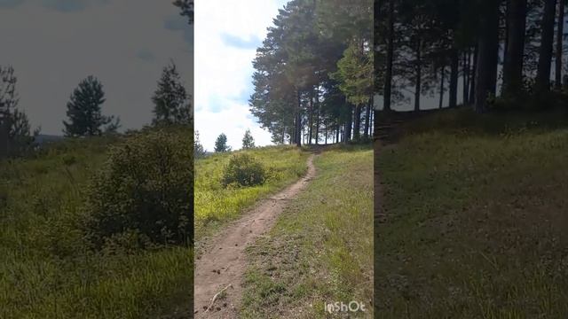 прогулка вдоль Воткинского пруда. релакс.