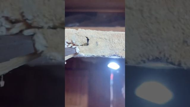 Меня сейчас спасла моя пила, она просто перестала пили