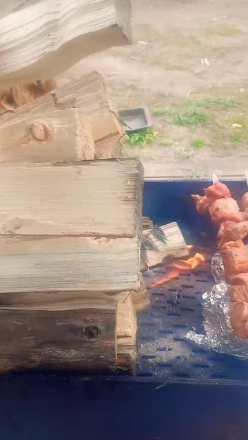 шашлык на углях из тополя