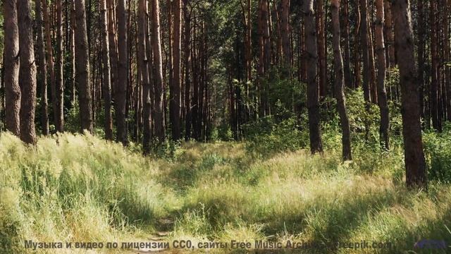 Ветер шумит под музыку так, как не слышали раньше - Sarahs Angels (ID 742) -- Lobo Loco -- DREAM OF