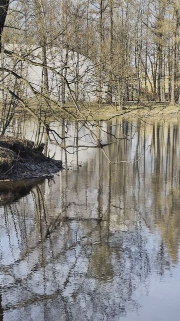 "Санкт-Петербург через объектив: фотосессия и видео
#питер#природа#фото