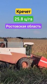 ПодсолнечникКречет | Уборка 2023