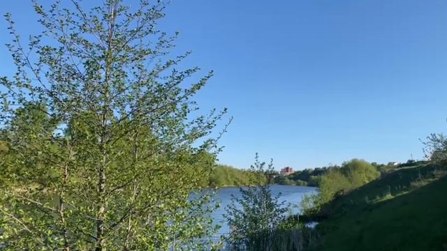 релакс
