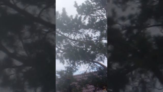 ФИЛЬМ "ГРУЗЧИКИ . БЕЛОЧКА"