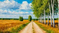 Эх, дороги, кавер
