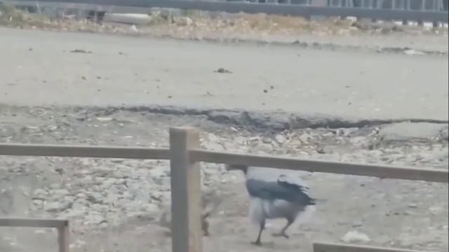 На прогулке