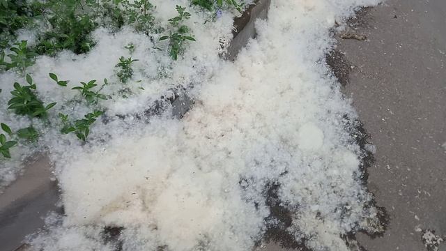 ВОТ ЧТО, СЕГОДНЯ НА УЛИЦАХ ГОРОДА . ВЕСЕННИЙ СНЕГ