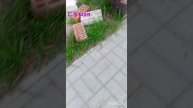 я взрываю бомбы