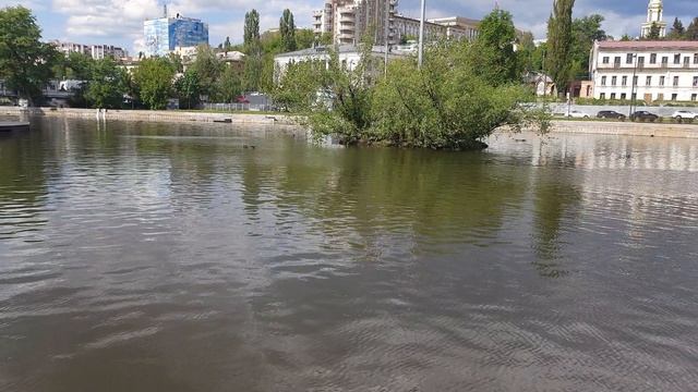 Комсомольский пруд г. Липецка. Гуляем, хорошая погода