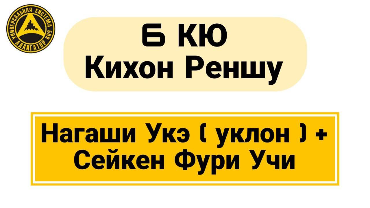 6 Кю Кихон Реншу: Нагаши Укэ (уклон) + Сейкен Фури Учи