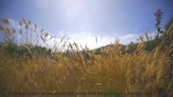 Зимняя сказка с волшебным звуком! - Waterfall -- Omura -- The Whales Bay