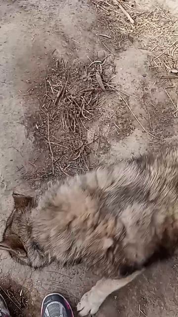 1000080296.mp4
