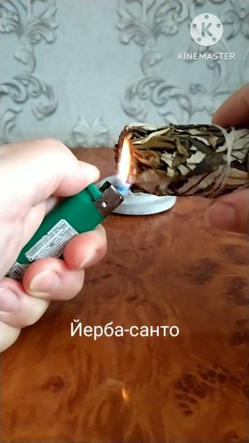 Йерба-санто - горная калифорнийская мята #asmr #благовон?