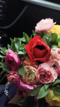 #flowers #шортс ##цветы #шортс