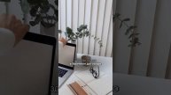 Насколько важен брачный договор при совместном бизнесе ?