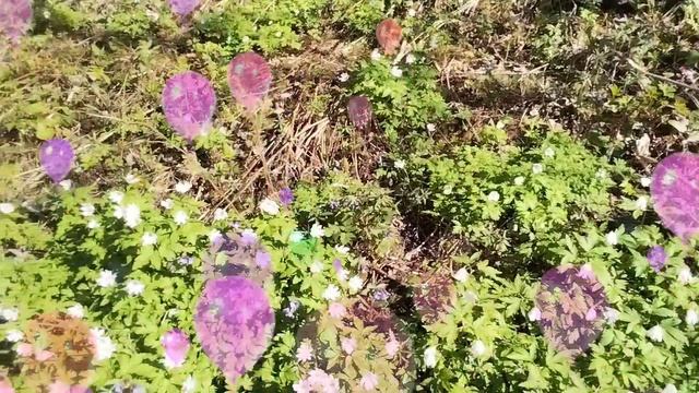 Поздравление🙏😍 к Великому Празднику Победы👌