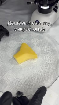 #наука #интересно #микроскоп #подмикроскопом #микромир