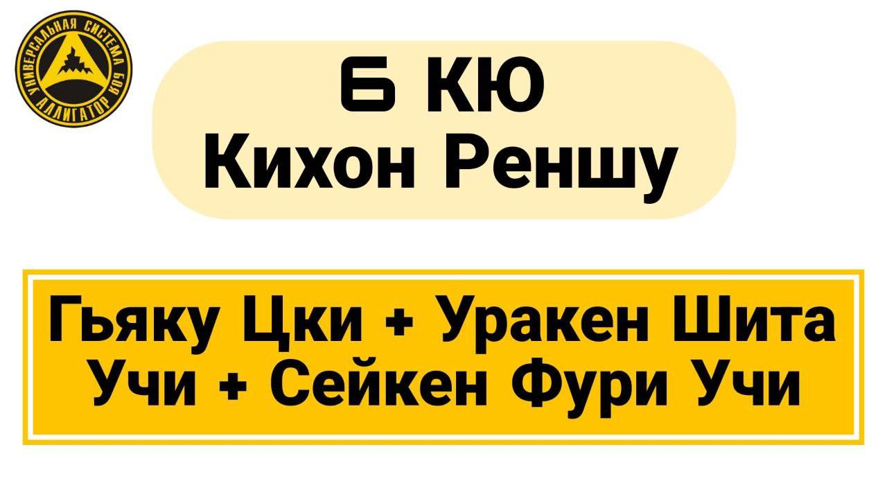 6 Кю Кихон Реншу: Гьяку Цки + Уракен Шита Учи + Сейкен Фури Учи