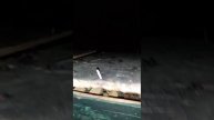 18 рой за сезон
