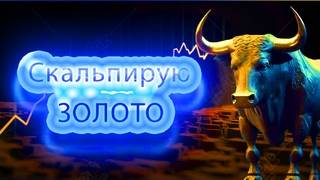 Мои входы и позиции