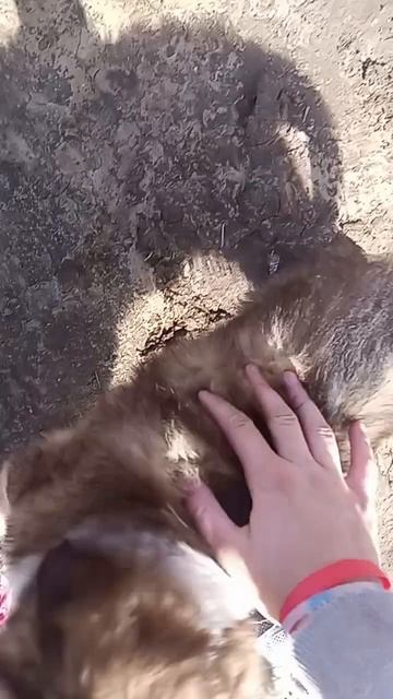 1000080205.mp4