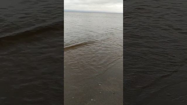 Финский залив